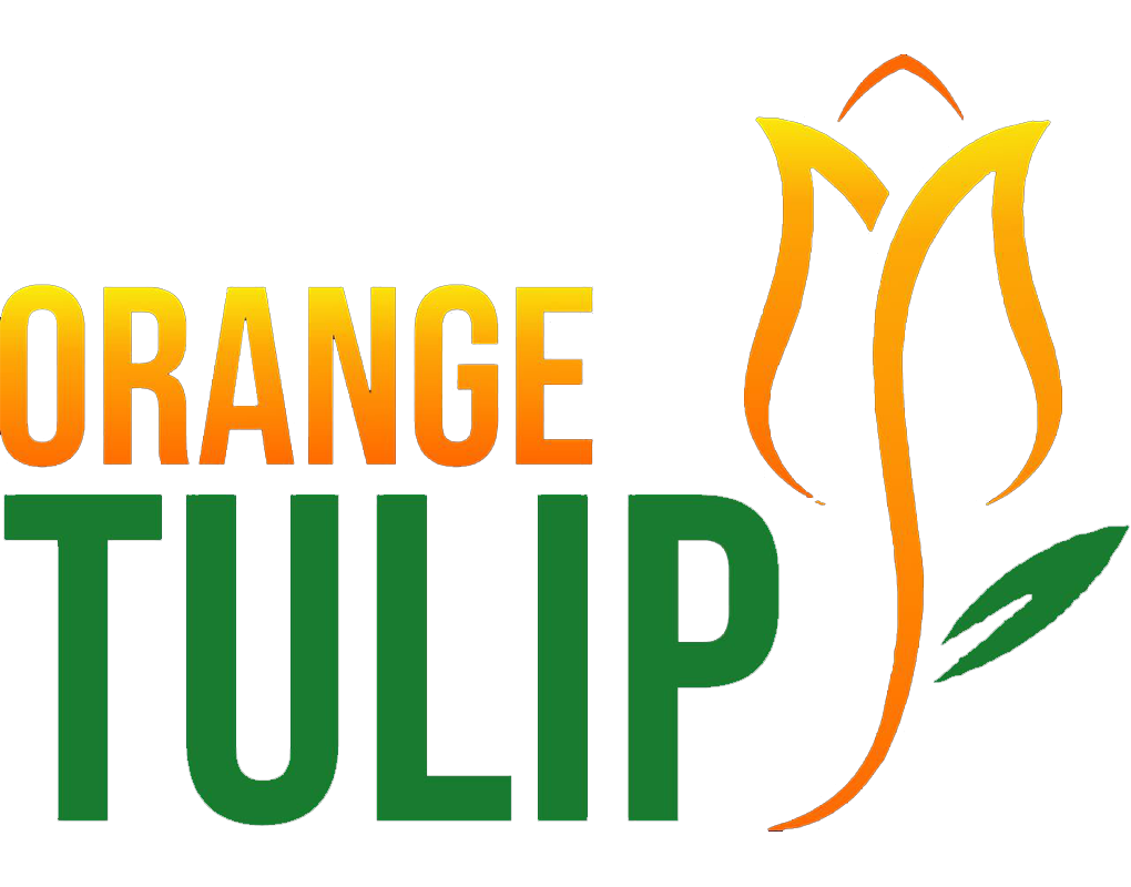 Orange Tulip